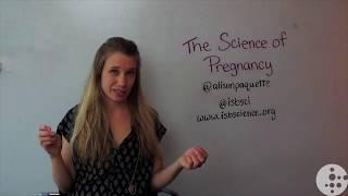 Gender differences while pregnant