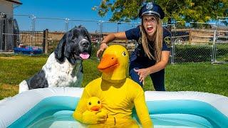 Rubber Ducky Surprises Police & Puppy with Car Ride Chase!