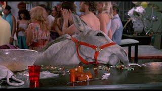 Donkey's Last Show - Bachelor Party - Tom Hanks