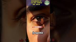 La enseñanza de Jesús sobre la paja y la viga te sorprenderá