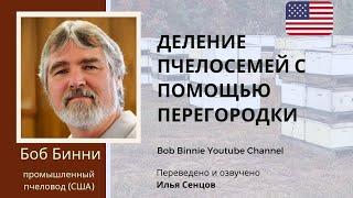 ДЕЛЕНИЕ ПЧЕЛОСЕМЕЙ с помощью перегородки с двойной решеткой (лекция Боба Бинни)