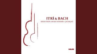 Trio Sonata in G Major, Adagio e piano BWV 1039: 3rd Movement