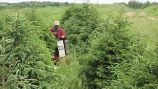 Tree Farm Mowing with Ventrac