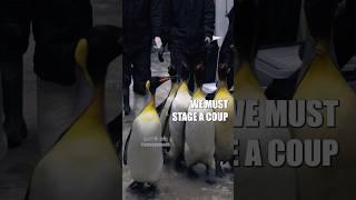  Penguin Prison : odensezoodk (️) #shorts