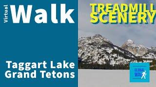 Discover the Frozen Beauty of Taggart Lake Trail | Grand Teton Virtual Hike [Treadmill Scenery]