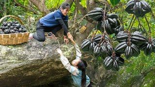 RESCUE Little Girl Fell Down The Mountain! EMOTIONAL MOMENT while Havesting Starfruit in Forest