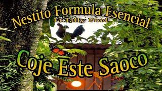 Coje Este Saoco - Nestito Formula Esencial Ft. Tally Prod