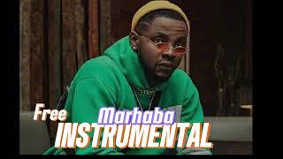 Kizz Daniel - Marhaba INSTRUMENTAL BEATS  Free  Afrobeats  Instrumental Omah Lay ft Rugger type 2025