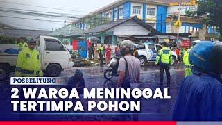 Dua Warga Meninggal Tertimpa Pohon  Tumbang di Depan SDN 42 Pangkalpinang Bangka Belitung