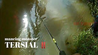 MANCING IKAN MONSTER TERSIAL DI DUNIA MANCING || kir Yanto 77