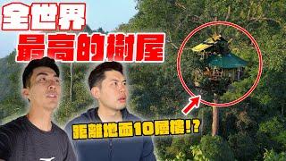 住進世界最高樹屋是什麼體驗？用滑索才能抵達的神秘樹屋！？