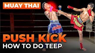 MUAY THAI PUSH KICK I BEGINNER Training