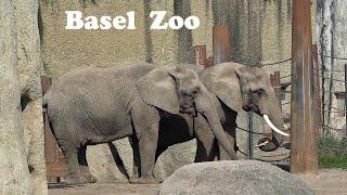 Zoo Basel, Switzerland