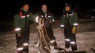 Artic night dog sled, Christmas 2015