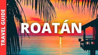 Roatan Honduras Travel Guide: 15 BEST Things To Do In Roatán