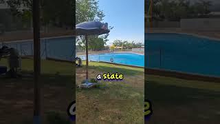 Helicopter Takes Water From Private Pool (@emepoli) #shorts