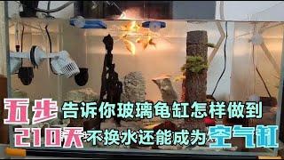 五步教你的龟缸打造空气缸