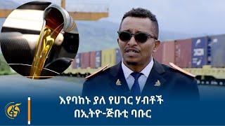 እየባከኑ ያለ የሀገር ሃብቶች በኢትዮ-ጅቡቲ ባቡር