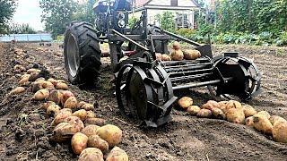 Conveyor potato digger for any walk-behind tractor