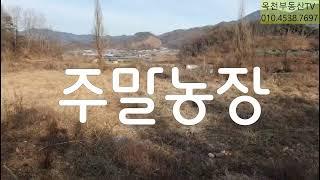 옥천군 이원면 윤정리 주말농장