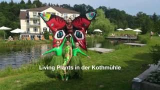 Living Plants in der Kothmühle