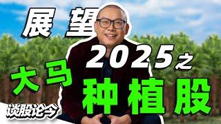 展望2025之：投资种植板块2大注意事项【谈股论今 231】