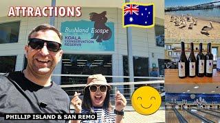 KOALA CONSERVATION CENTRE, SAN REMO PELICAN FEEDING, PURPLE HEN WINERY, BOWLING @indaynamo