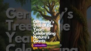 Germany’s Tree of the Year: Celebrating Nature’s Giants 