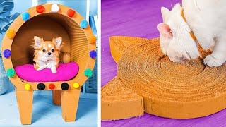 New Cardboard DIY Crafts: Fun Projects for Furry Friends & You! 