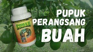 Perangsang Buah Organik | Power Nutrition Nasa