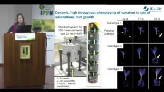 Phenotyping for root-based gains in crop productivity HD