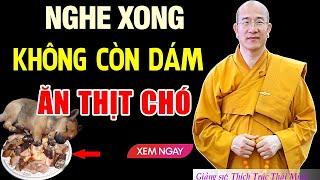 Kết CKết Cục Bi Thảm Của Nghề “G i ế t Mổ Chó” Và Ăn THỊT CHÓ   Nghiệp Chướng Là CÓ THẬT -  Nên Nghe