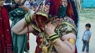 Tejal Bango bind nacho nacho // Shekhawati Dance Video rajsthani Dance #shortvideo #haryanvi #dance