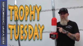 Trophy Tuesday-Grey Beard Award #92