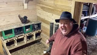 Chicken Breeding Pen