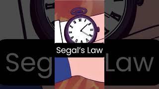 Understand Segal’s Law in 1 Minute #anime  #science #foryou #facts