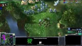 SC2 - Wookie[P] vs Steadman[Z] on Tal'Darim Altar