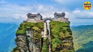 Fanjing Mountain in Guizhou Province - China Walking Tour | 貴州梵淨山