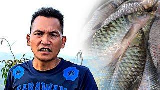 MUSIM KEMARAU, SYUKUR DAPAT IKAN SEMAH‼️