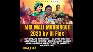 MIX MALI MANDINGUE 2023 BY DJ FLEX(SAFI DIABATÉ-MARIAM BA-ASTOU NIAMEY-BINGUINI -MOHAMED DIABY-Seyba