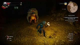 troll hide liver & enhanced ursine boots diagram locations | Witcher 3