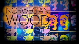 Norwegian Wood (Acoustic) | Beatles Cover by Audiophile (Jeff Bowles)