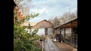 Waterloo City Farm