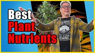 Organics vs Synthetic Nutrients for Cannabis Plants - What They Don't Tell You