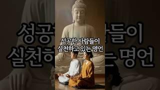 성공한 사람들이 실천하고 있는 명언 | 인생명언 오디오북 | 불교명언 #shorts