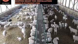 Wireless Barn Cameras For Monitoring Lambing, Calving, Foaling