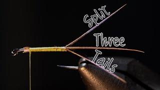 Split Three Tails