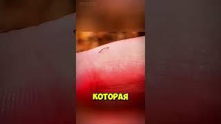 Мини-чудо, которое вы могли не заметить