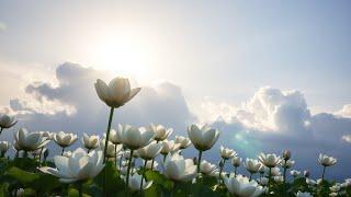Sergey Slavsky | CLOUDS | Modern Piano | Neoclassical Music | Breathtaking Romantic | New Classica |