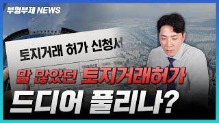 토지거래허가가 해제되면 "과연 강남 땅값은 올라갈까?"